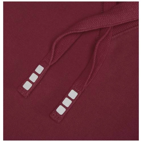 Arora bluza unisex z kapturem 300 g/m²